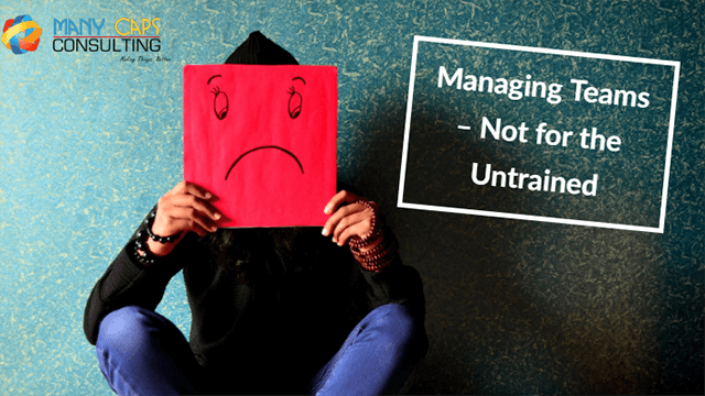 Managing-Teams--Not-for-the-Untrained---tiny