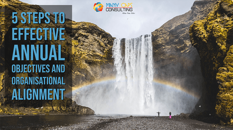 The 5 Steps to effective Annual Objectives and Organisational Alignment - think waterfalls