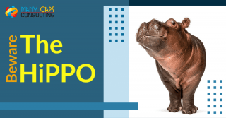 Beware the HiPPO